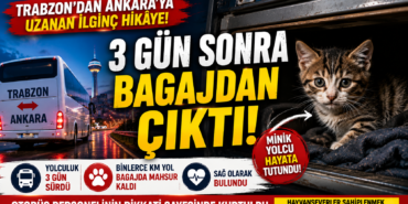 Trabzon’dan Ankara’ya Uzanan İlginç Hikâye! 3 Gün Sonra Bagajdan Çıktı