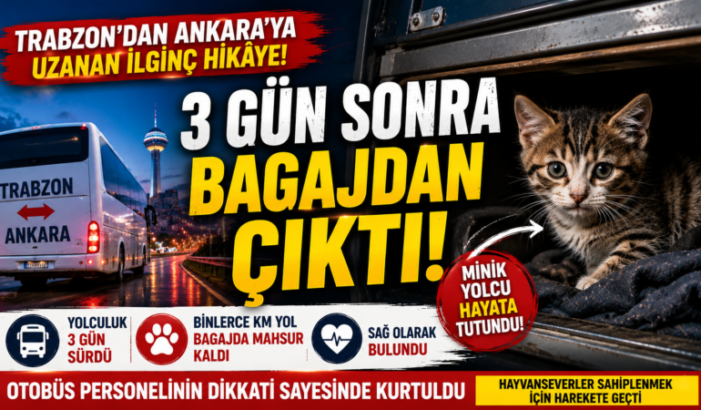 Trabzon’dan Ankara’ya Uzanan İlginç Hikâye! 3 Gün Sonra Bagajdan Çıktı