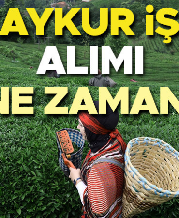 caykur-isci-alimi-2026-basvurusu-caykur-isci-alimi-2026-ne-zaman-basvurular-basladi-YGBRCSYU.jpg