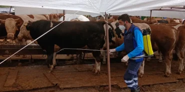 trabzonda-kurban-alanlarinda-hijyen-seferberligi-rZhuEGdD.webp
