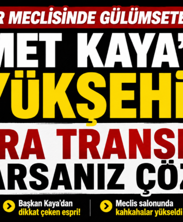ahmet-kaya-para