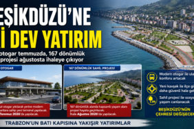 besikdüzü