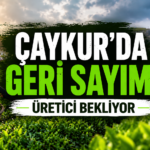 çaykur
