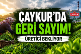 çaykur