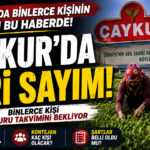 çaykur