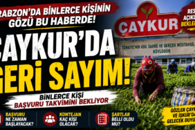 çaykur