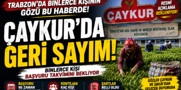 çaykur