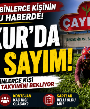 çaykur