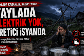 yayla