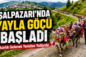 yayla