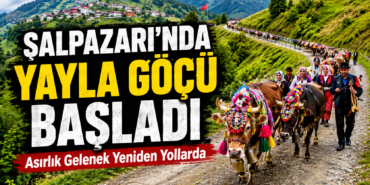 yayla