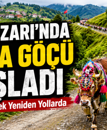 yayla
