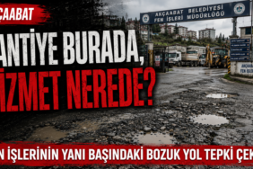 yol
