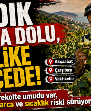 fındık