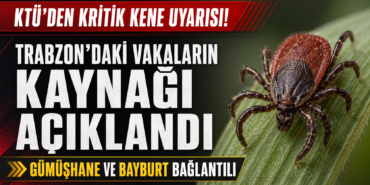 kene