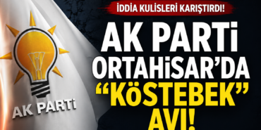 kostebek