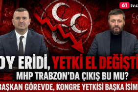 mhp