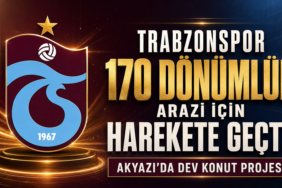 proje