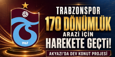 proje