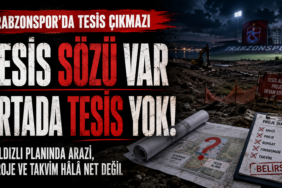 tesis