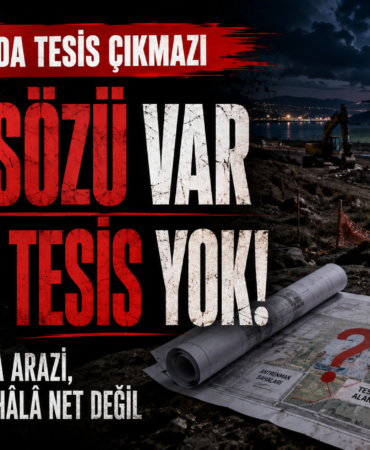 tesis