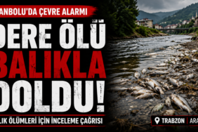 yanbolu