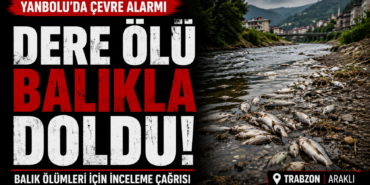yanbolu