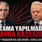 zorlu