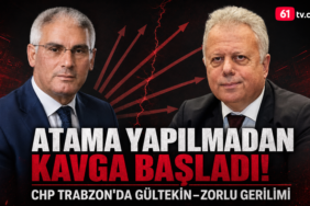 zorlu