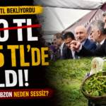 akpartifındık
