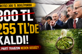 akpartifındık