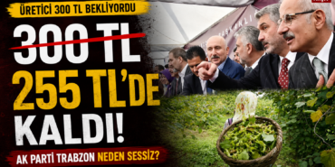 akpartifındık