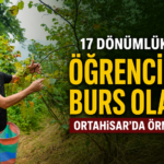 burs