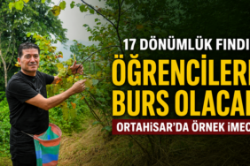burs