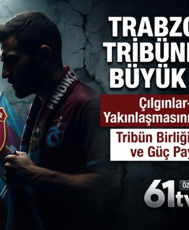 cilginlar