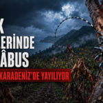drakula