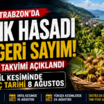 fındık