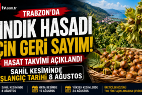 fındık