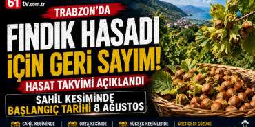 fındık