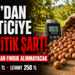 fındıkozel