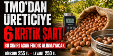 fındıkozel