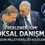 danismaz