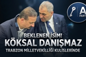 danismaz