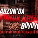 fındık