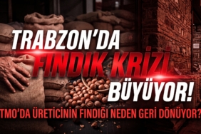 fındık