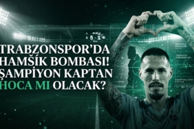 hamsik