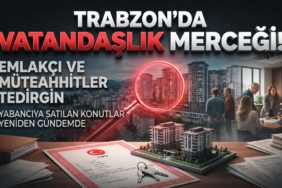 vatandaslik