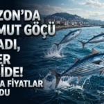 palamut-gocu