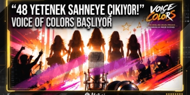 voiceofcolors